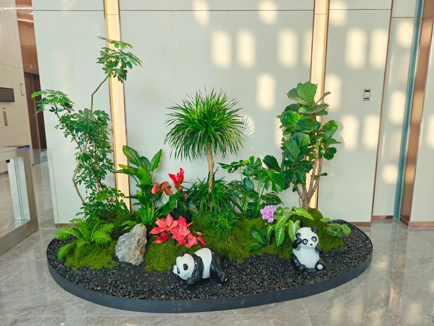 余姚植物租摆价格揭秘,究竟贵不贵?